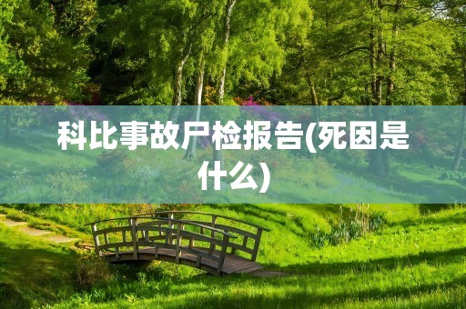 科比事故尸检报告(死因是什么)