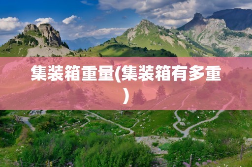 集装箱重量(集装箱有多重)