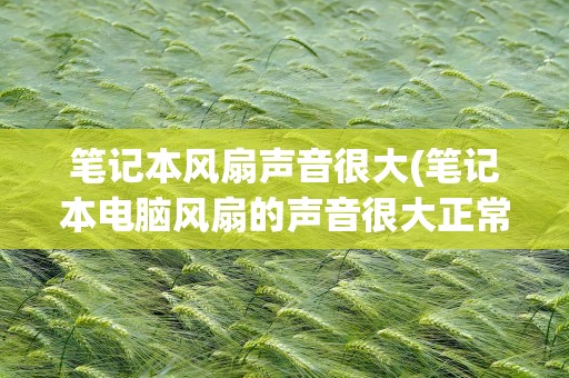 笔记本风扇声音很大(笔记本电脑风扇的声音很大正常吗)