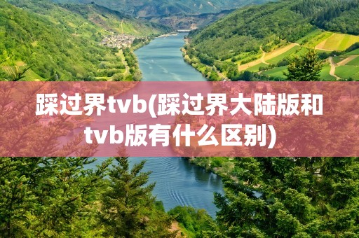 踩过界tvb(踩过界大陆版和tvb版有什么区别)