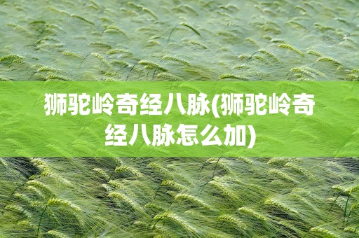 狮驼岭奇经八脉(狮驼岭奇经八脉怎么加)