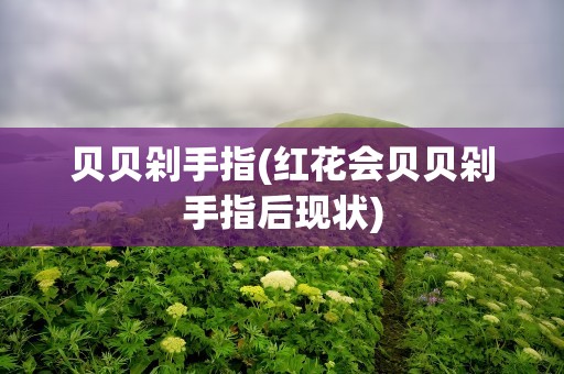 贝贝剁手指(红花会贝贝剁手指后现状)