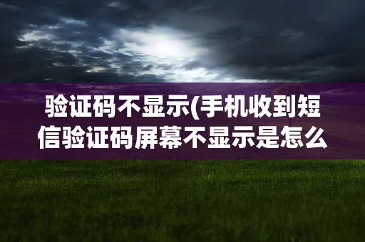 验证码不显示(手机收到短信验证码屏幕不显示是怎么回事)