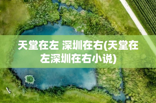天堂在左 深圳在右(天堂在左深圳在右小说)