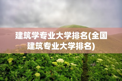 建筑学专业大学排名(全国建筑专业大学排名)