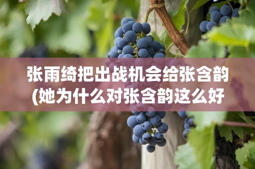 张雨绮把出战机会给张含韵(她为什么对张含韵这么好)