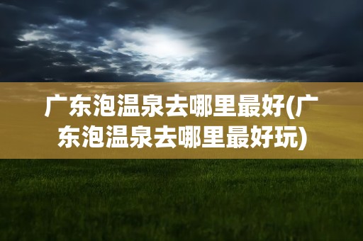 广东泡温泉去哪里最好(广东泡温泉去哪里最好玩)