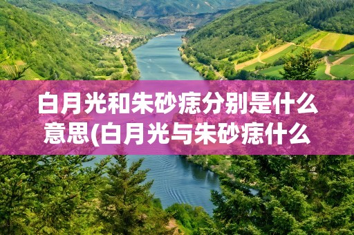 白月光和朱砂痣分别是什么意思(白月光与朱砂痣什么意思)