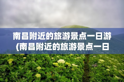 南昌附近的旅游景点一日游(南昌附近的旅游景点一日游多少钱)