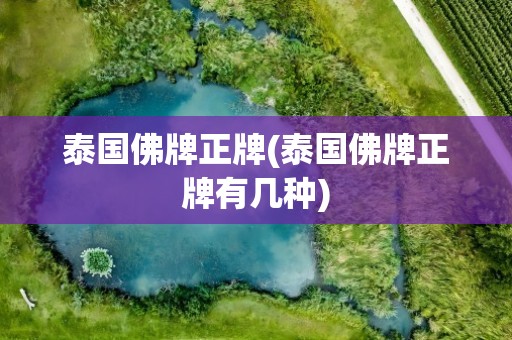 泰国佛牌正牌(泰国佛牌正牌有几种)