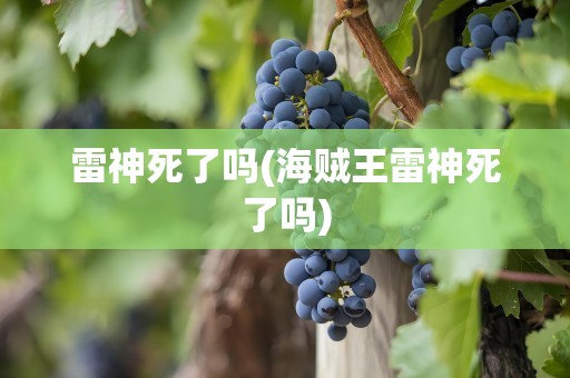 雷神死了吗(海贼王雷神死了吗)