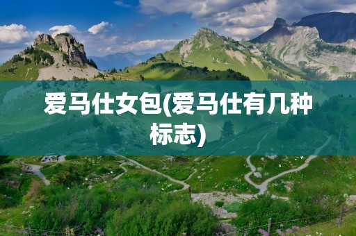 爱马仕女包(爱马仕有几种标志)