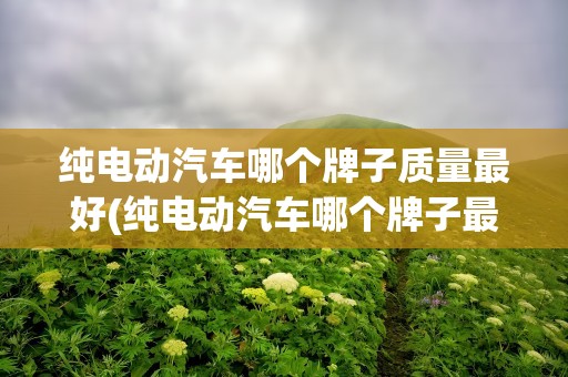 纯电动汽车哪个牌子质量最好(纯电动汽车哪个牌子最好质量最好)