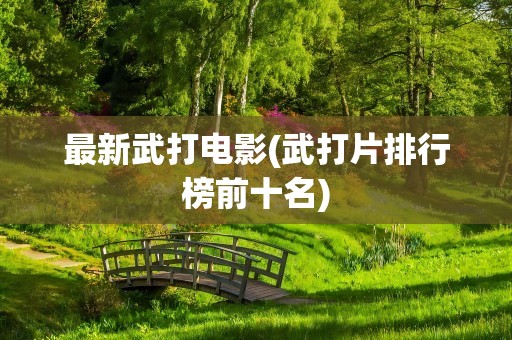 最新武打电影(武打片排行榜前十名)
