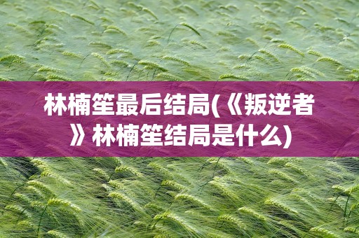 林楠笙最后结局(《叛逆者》林楠笙结局是什么)