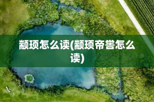 颛顼怎么读(颛顼帝喾怎么读)