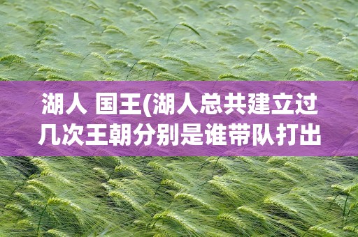湖人 国王(湖人总共建立过几次王朝分别是谁带队打出来的)