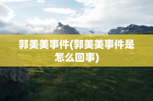 郭美美事件(郭美美事件是怎么回事)