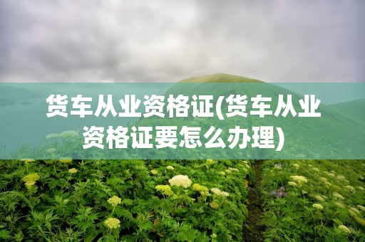 货车从业资格证(货车从业资格证要怎么办理)