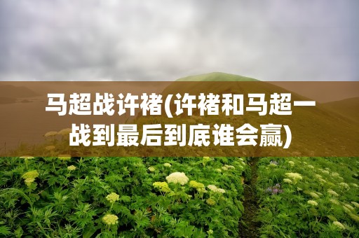 马超战许褚(许褚和马超一战到最后到底谁会赢)