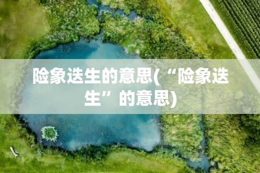 险象迭生的意思(“险象迭生”的意思)