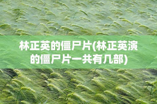 林正英的僵尸片(林正英演的僵尸片一共有几部)