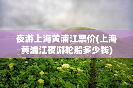 夜游上海黄浦江票价(上海黄浦江夜游轮船多少钱)