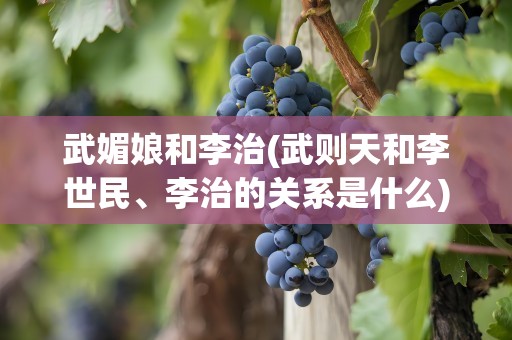 武媚娘和李治(武则天和李世民、李治的关系是什么)