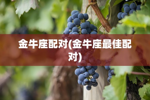 金牛座配对(金牛座最佳配对)