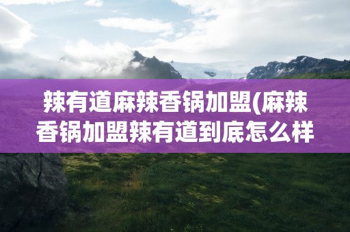 辣有道麻辣香锅加盟(麻辣香锅加盟辣有道到底怎么样)