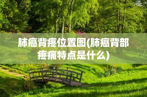 肺癌背疼位置图(肺癌背部疼痛特点是什么)