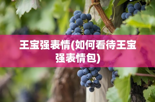 王宝强表情(如何看待王宝强表情包)