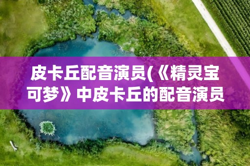皮卡丘配音演员(《精灵宝可梦》中皮卡丘的配音演员是谁)