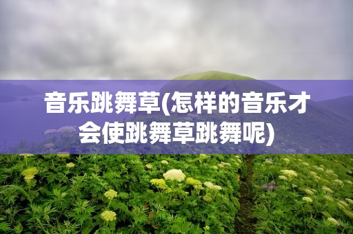 音乐跳舞草(怎样的音乐才会使跳舞草跳舞呢)