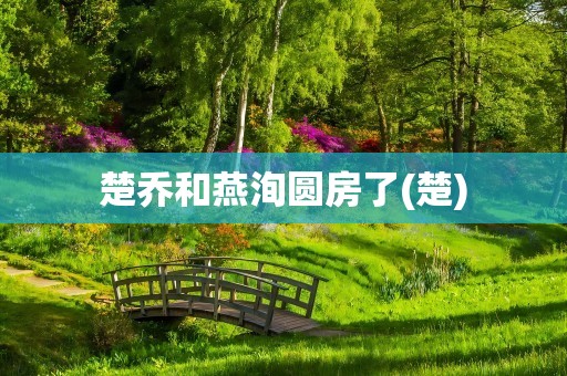 楚乔和燕洵圆房了(楚)