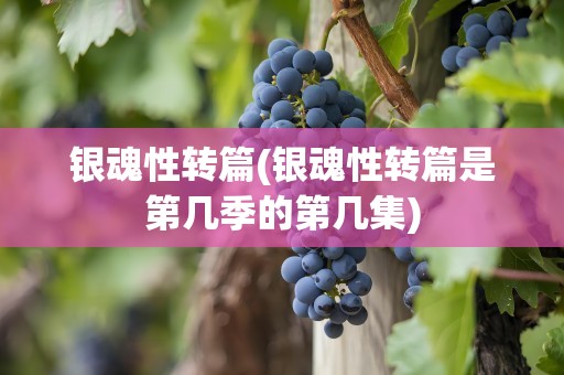 银魂性转篇(银魂性转篇是第几季的第几集)