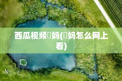 西瓜视频囧妈(囧妈怎么网上看)