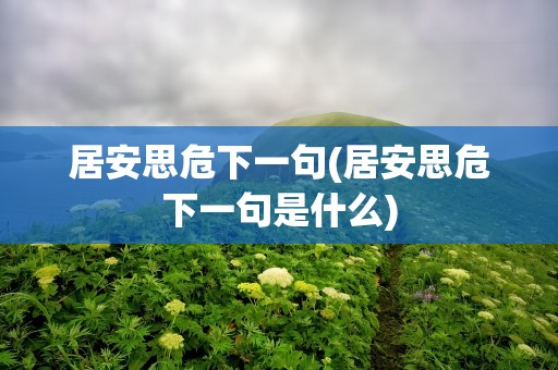 居安思危下一句(居安思危下一句是什么)