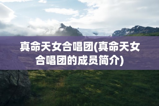 真命天女合唱团(真命天女合唱团的成员简介)