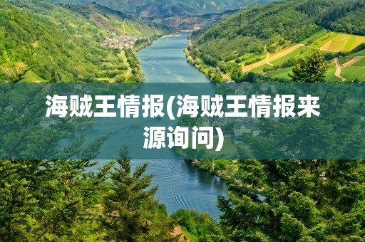 海贼王情报(海贼王情报来源询问)