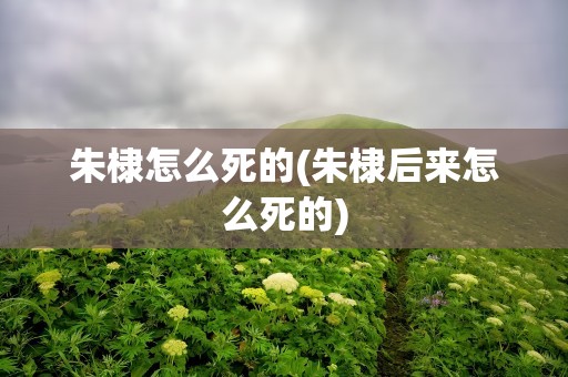 朱棣怎么死的(朱棣后来怎么死的)