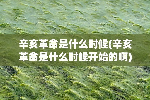 辛亥革命是什么时候(辛亥革命是什么时候开始的啊)