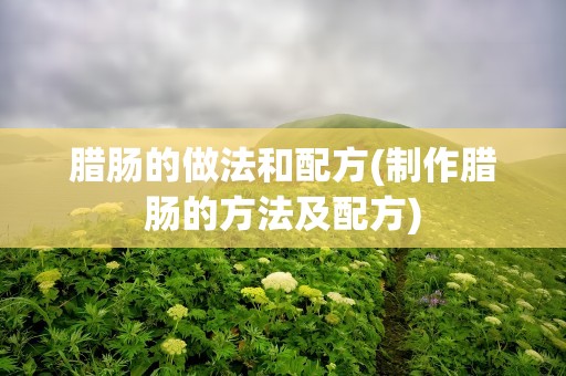 腊肠的做法和配方(制作腊肠的方法及配方)