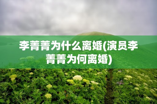李菁菁为什么离婚(演员李菁菁为何离婚)