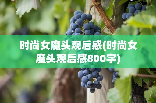 时尚女魔头观后感(时尚女魔头观后感800字)