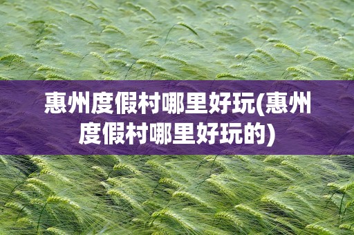 惠州度假村哪里好玩(惠州度假村哪里好玩的)