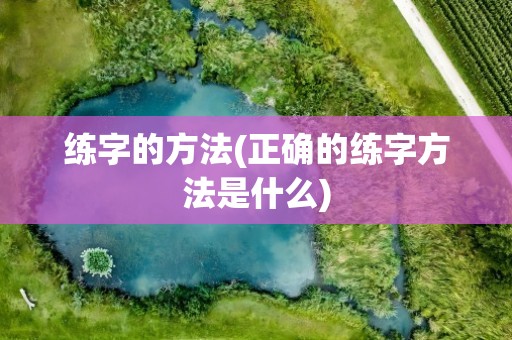 练字的方法(正确的练字方法是什么)