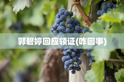郭碧婷回应领证(咋回事)