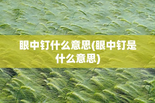 眼中钉什么意思(眼中钉是什么意思)