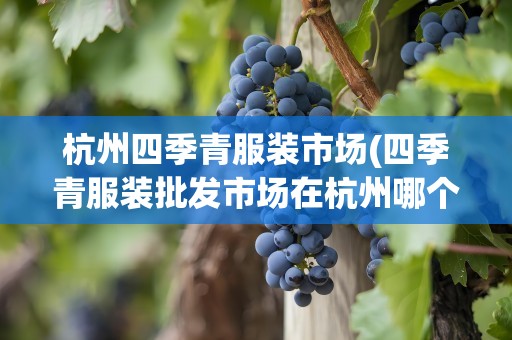 杭州四季青服装市场(四季青服装批发市场在杭州哪个区)